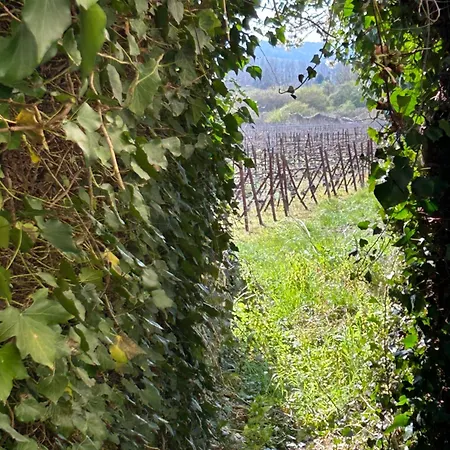 Gite Insolite En Champagne Pres D'Epernay Cumieres